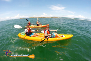 uvita-tree-sixty-kayak-costa-rica-kayak-surf-snorkel-sup-kayak-adventure-osa-ballena-surfing-mangrove-tour