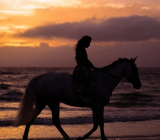 Horseback Beach Ride