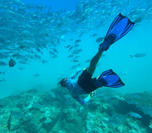 Caño Island Snorkeling Tour