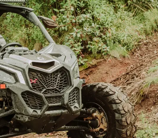 ATV Jungle Adventure